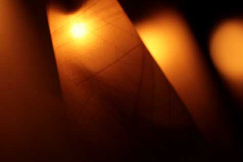 Licht