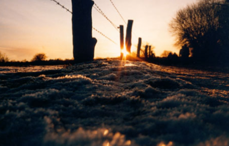 Winterspaziergang