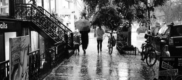 Brooklyn Heights in Rain